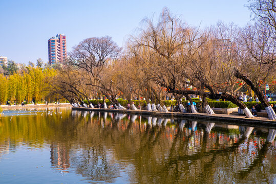 昆明翠湖风景