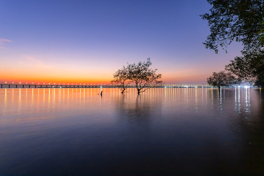 深圳西湾红树林夜景