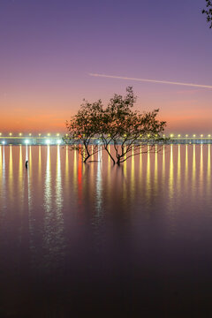 深圳西湾红树林夜景