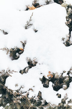 冬季户外干净雪景