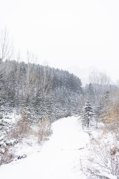 冬日大雪中的山路