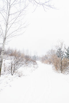 冬季大雪覆盖的山路