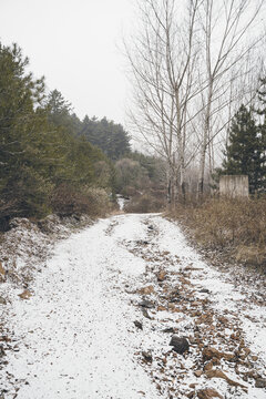 冬天大雪过后的山路