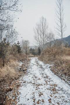 冬季山路被白雪覆盖
