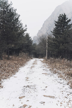 冬季雪后的山区小路