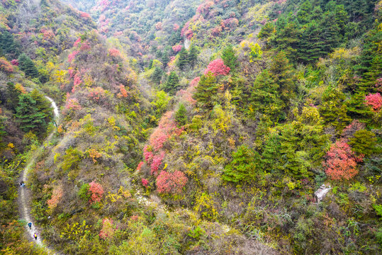 秦岭秋色