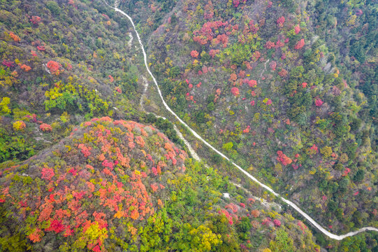 山间小路