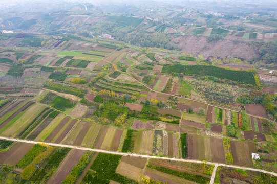 田地