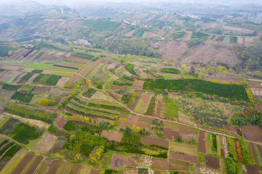 田园