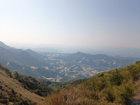 满山遍野的橘子种植基地