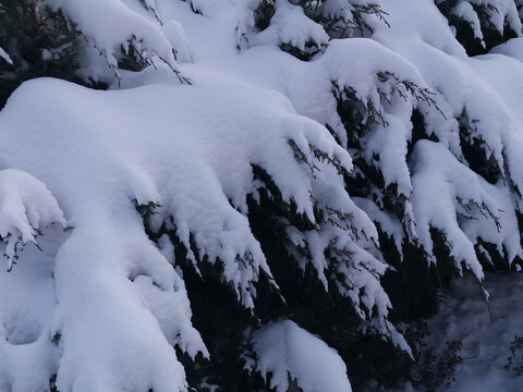 积雪