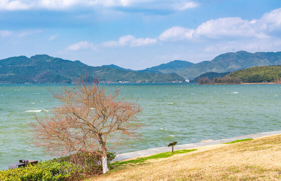 浙江宁波四明湖的风景