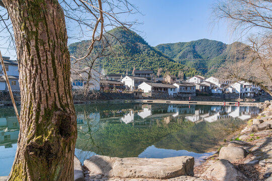 浙江余姚中村的风景