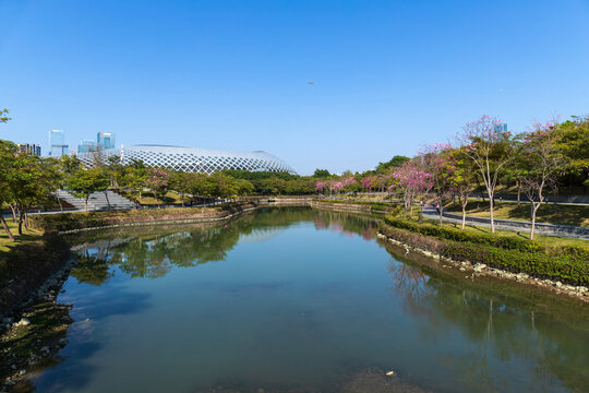 深圳市深圳湾后海浅滩绿化景色