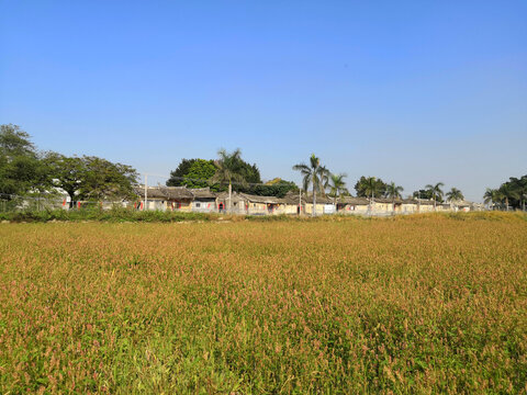 广东老建筑风景