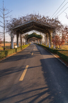 乡村道路