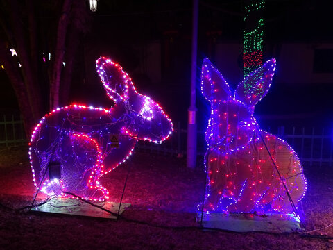 兔子灯饰