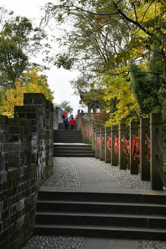 旅游步道