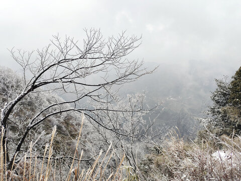 冰雪