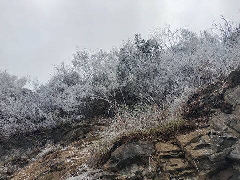 雪地冰雪