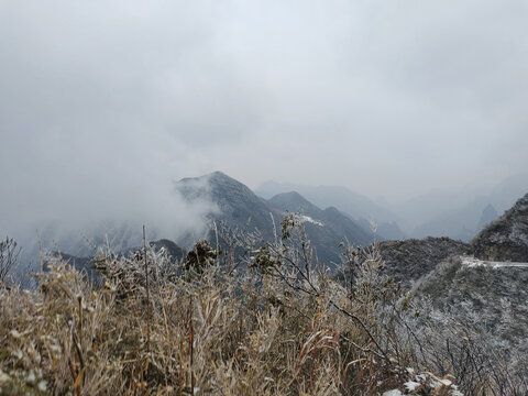 雪景