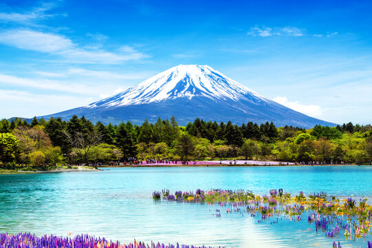 富士山