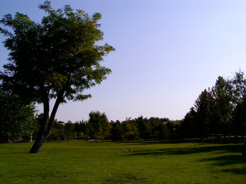 北京体育大学空地