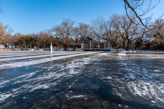 冬天雪后中国沈阳北陵公园