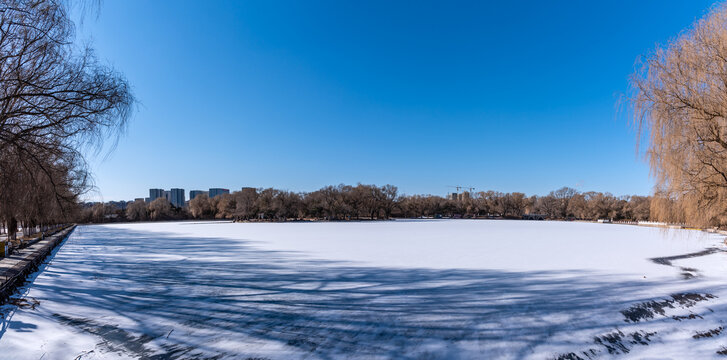 冬天雪后的中国沈阳北陵公园