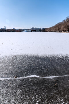 冬天雪后的中国沈阳北陵公园