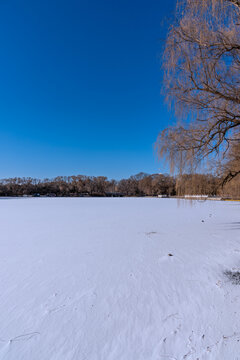 冬天雪后的中国沈阳北陵公园