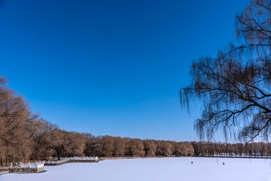 冬天雪后的中国沈阳北陵公园