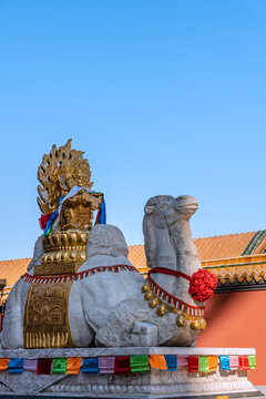 中国沈阳的北市场石雕骆驼