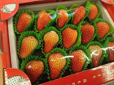 丹红草莓礼盒