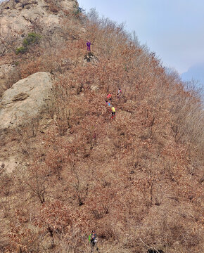 登山的朋友