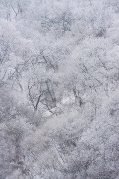 八达岭长城雪景雾凇