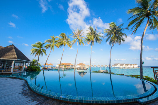 马尔代夫水屋泳池椰树