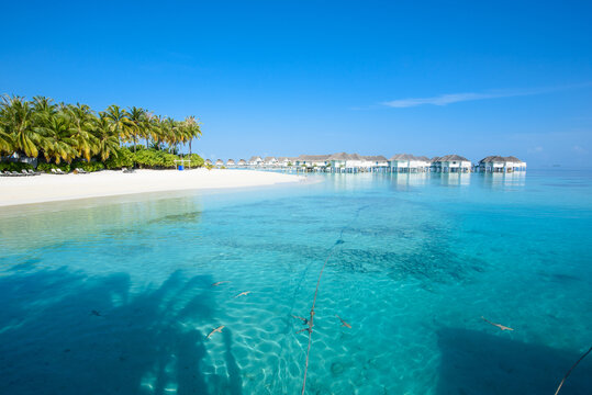 马尔代夫水上屋椰林白沙滩