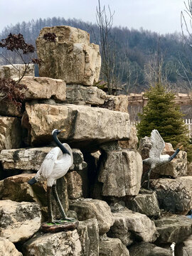 两只白鹤的雕塑
