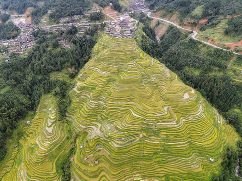 黔东南旅游加榜梯田