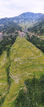 黔东南旅游加榜梯田