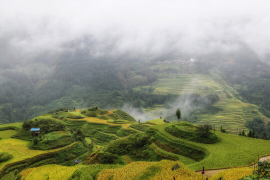 黔东南旅游加榜梯田