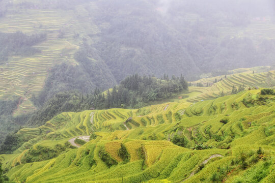 黔东南旅游加榜梯田