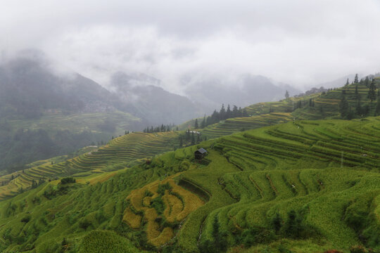 黔东南旅游加榜梯田