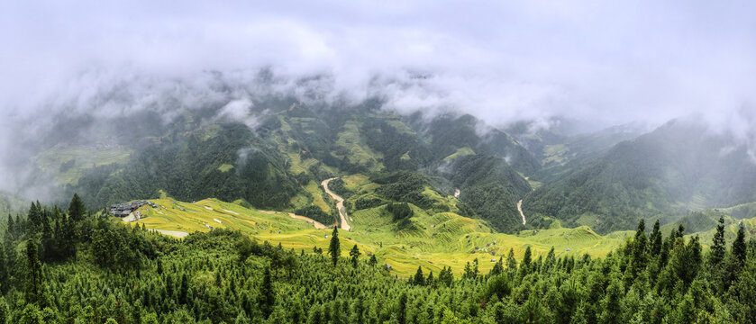 黔东南旅游加榜梯田