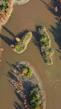 广州大学城湾咀头湿地公园秋景