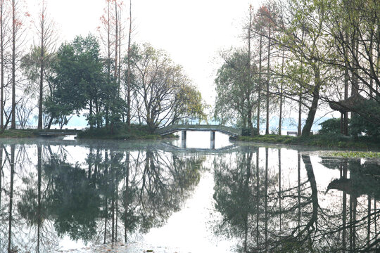 西湖杨公堤景区
