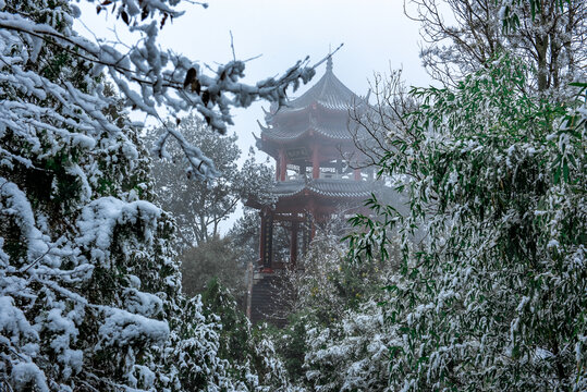 雪中亭台