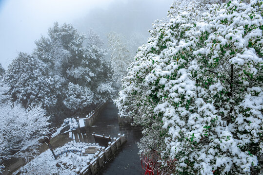 雪景