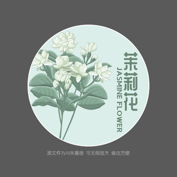 手绘茉莉花